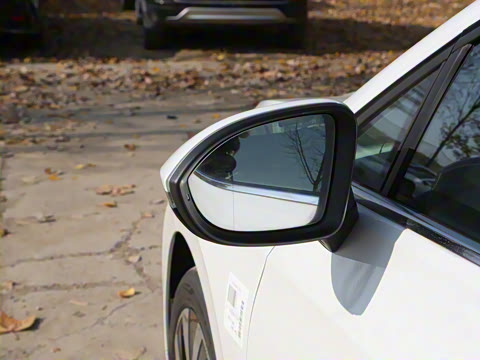 2025�� 300TSI Pro