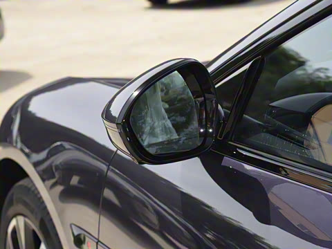 2025�� Pro�����