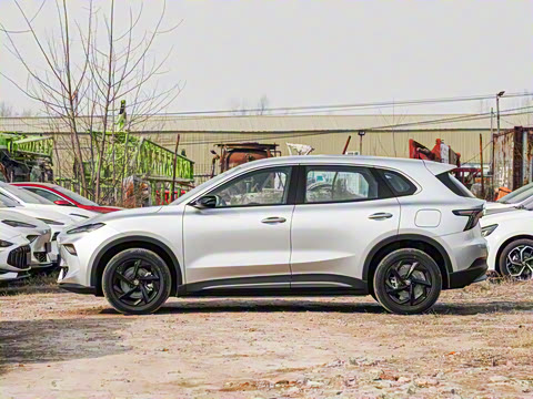 2025�� 425pro ������