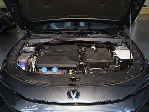 2024�� �����ǵ�iDD 136km ������