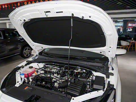 2023�� 180DVVT �ֶ����а�