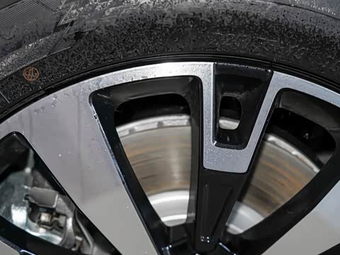 2024�� 135�콢��