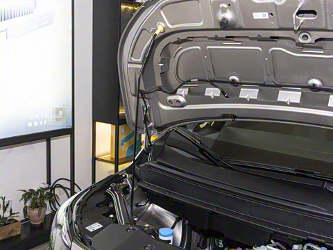 2025�� Plus 510 ������