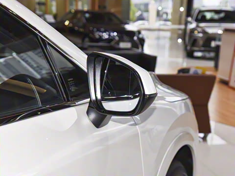 2025�� 300 ����������