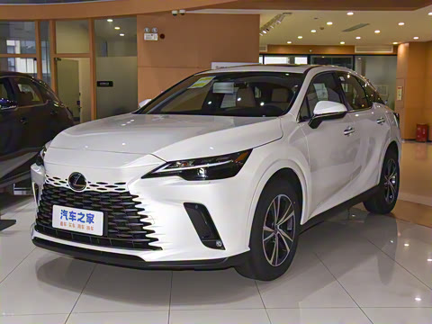 2025�� 300 ����������