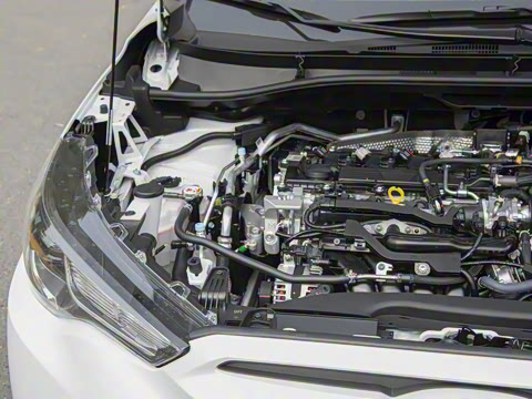 2024�� 2.0L CVT��Ӣplus��