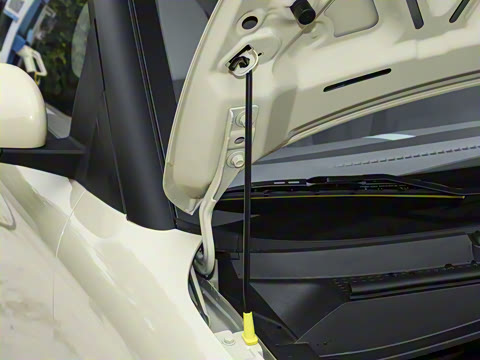 2025�� 205km ���߿�