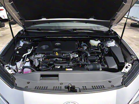 2024�� 2.0GVP ������