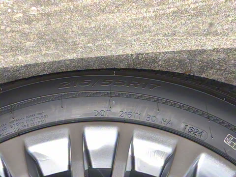 2024�� 2.0GVP ������