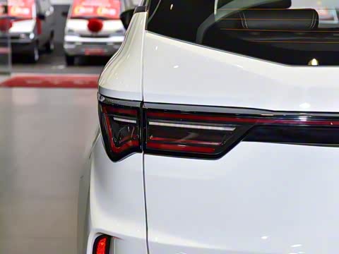 2025�� ��������