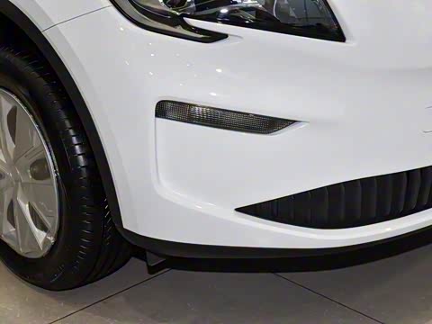 2025�� ��������