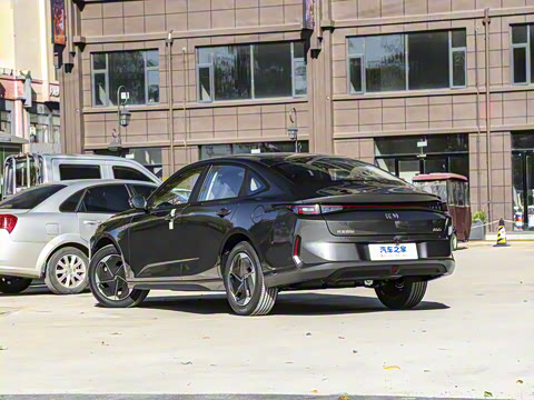 2025�� ����� 145 ������