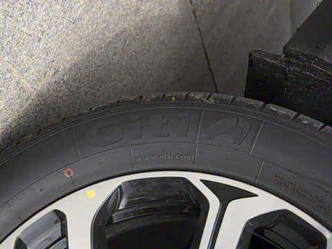 2025�� DM-i 115KM ������