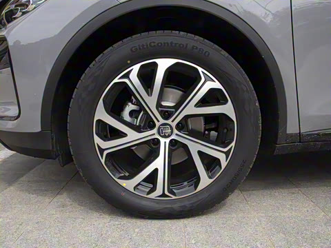 2025�� DM-i 115KM ������