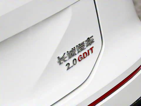 2024�� 2.0T ����Max