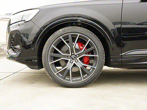 2025�� 55 TFSI quattro S line��ѩ�˶���