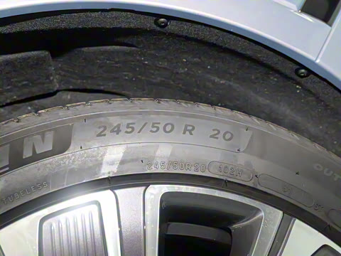 2024�� ��������Ӱ����