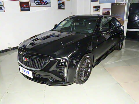 2024�� 28T �����