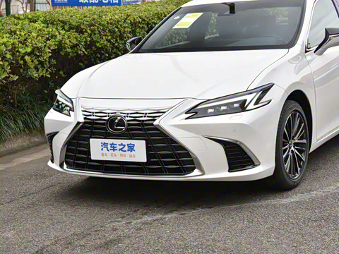 2025�� 300h ������