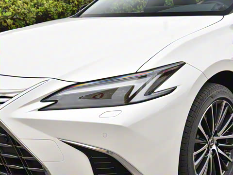 2025�� 300h ������