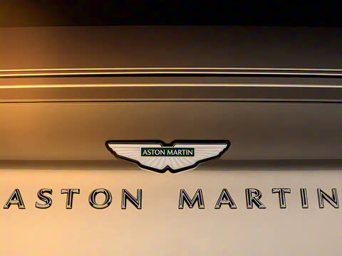 2025�� 4.0T V8 Goldfinger Edition