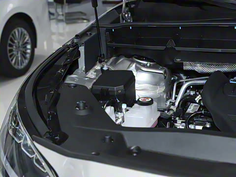 2024�� 380T �������� 7��