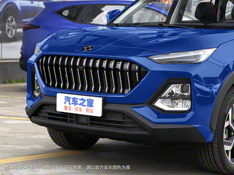 2021�� 300T DCT�콢������ 5��