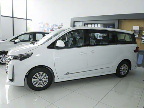 2025�� MAX 2.0T �Զ������� ���� 7��