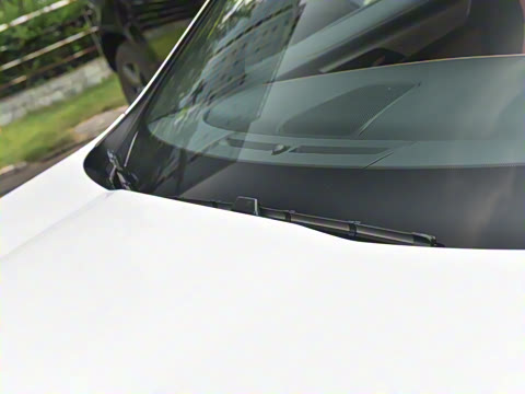 2025�� P250 R-Dynamic SE