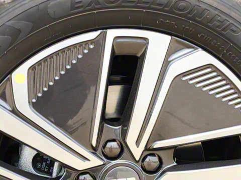 2025�� 55km ̽����