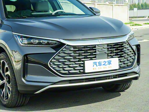 2025�� DM-i 115KM ������