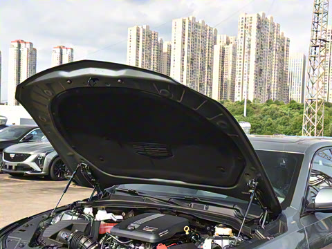 2024�� 28T �����