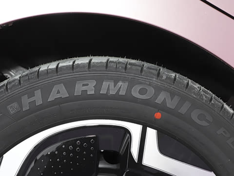 2024�� ���°� 330 Plus��+