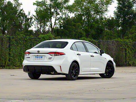 2024�� ���ܵ��˫�� 1.8L ��ʿ��