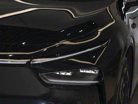 2025�� 702 �������� Max