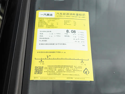 2025�� 45 TFSI ��ѡ������