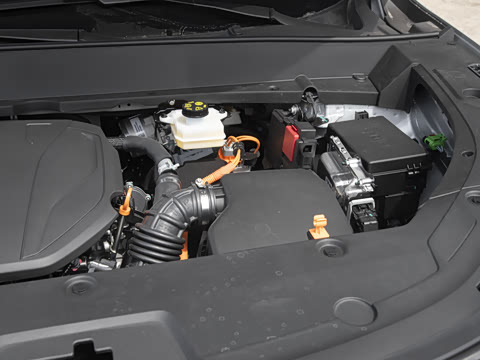 2025�� 55km ������