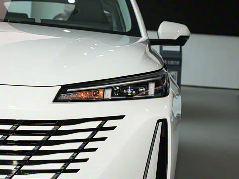 2024�� 1.5T GDI�Զ� �����