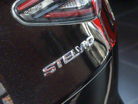 2024�� 2.0T 280HP Dragon Edition �����޶���