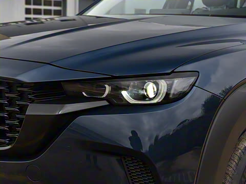 2023�� 2.5L ���а�