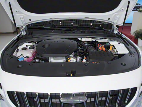 2024�� �ͻ� 1.5TD ���ư�