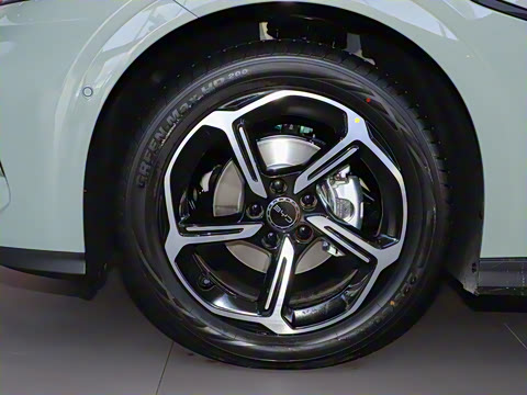 2025�� 505����Plus��