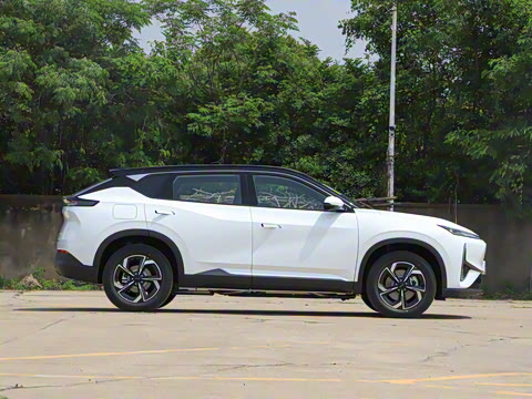 2025�� 205��������������