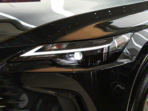 2025�� 350h ����������