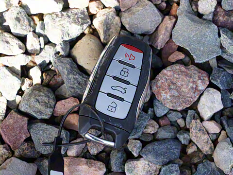 2023�� PLUS 1.5T �ֶ���Ӣ������