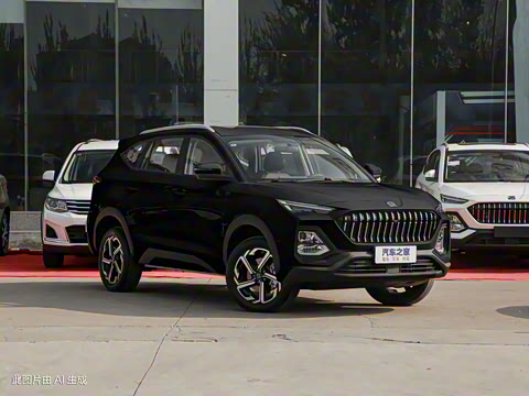 2021�� 300T �ֶ�ȫ�������� 6��