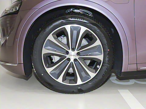 2025�� ���� 251km Pro