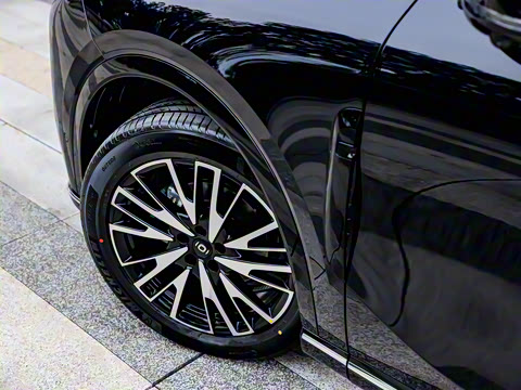 2025�� 215�����콢PLUS