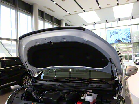 2025�� ½�� ������