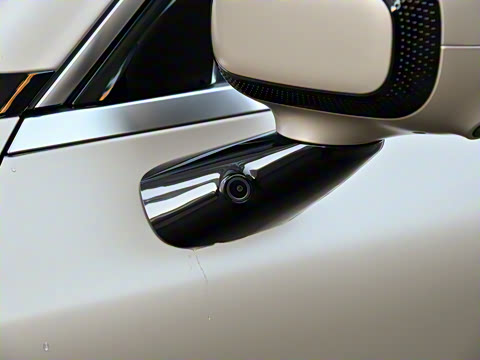 2024�� ������������ ������